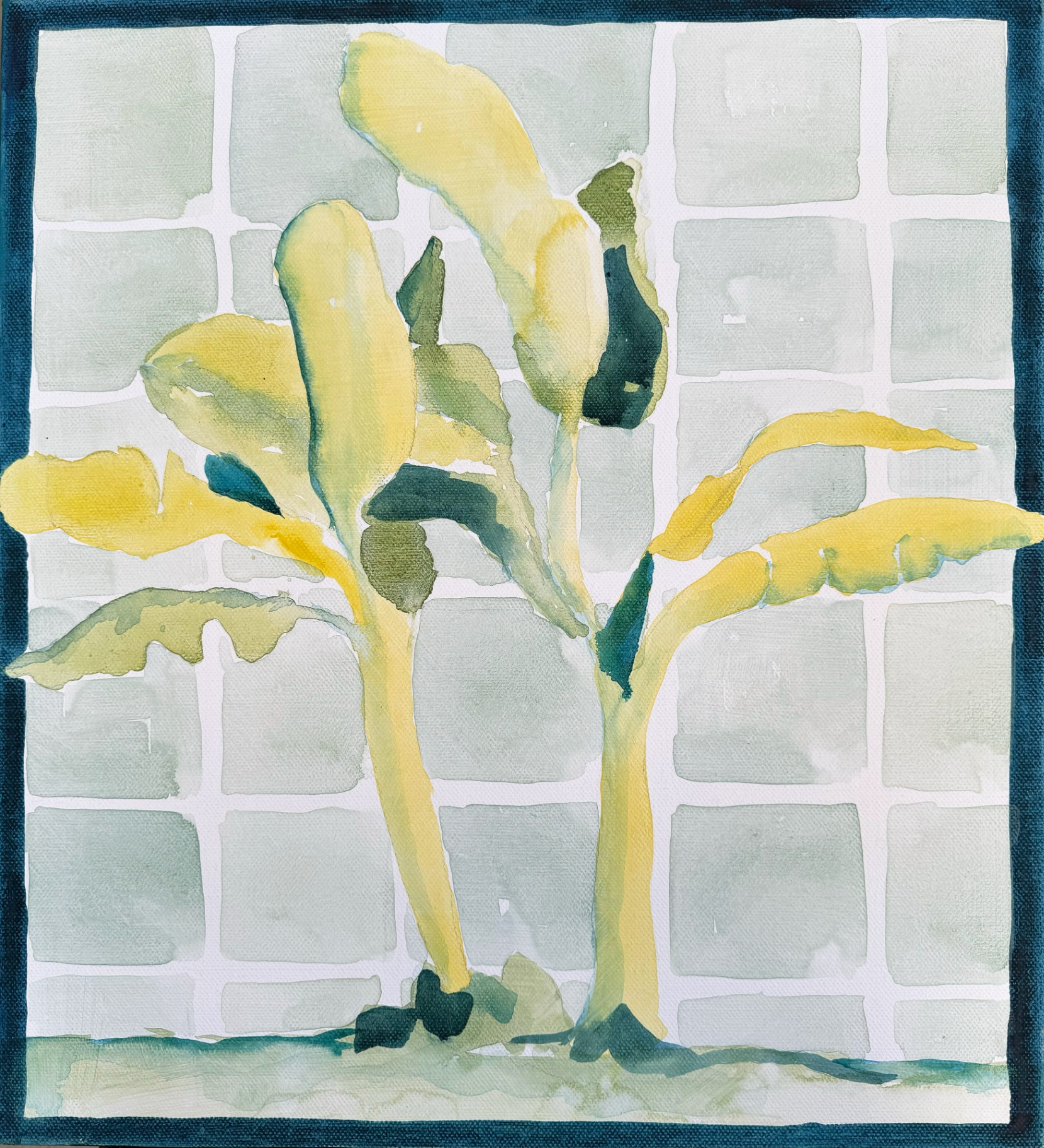 Kitchen Tiles